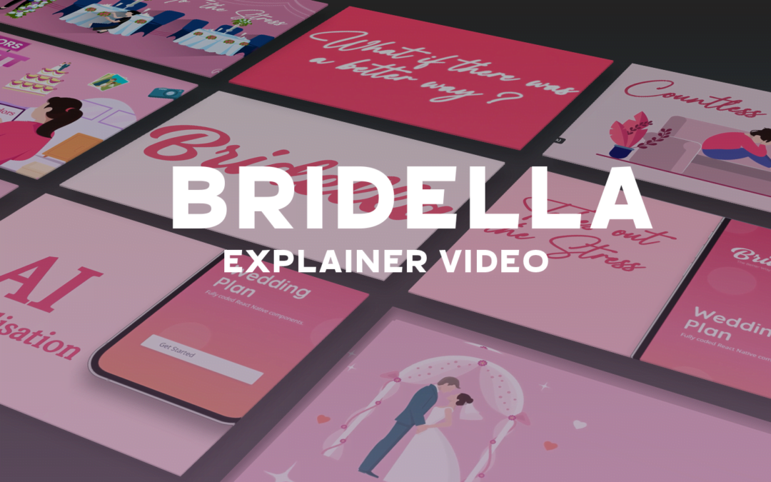 Bridella – Explainer video