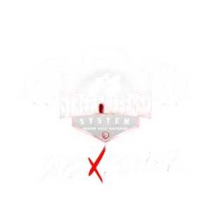 Street defense system ( SDS )