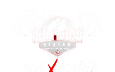 Street defense system ( SDS )