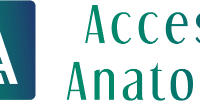 Access Anatomy
