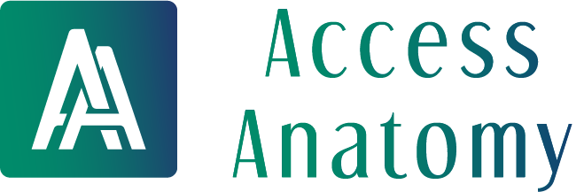Access Anatomy